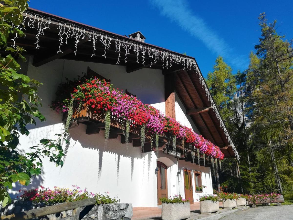 Hotel Il Cardo Сан-Вито-ди-Кадоре Экстерьер фото